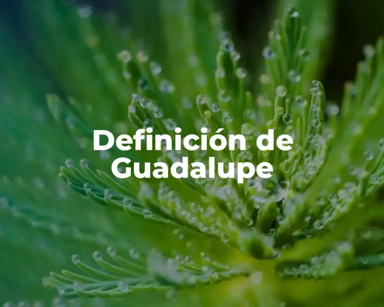 Definición de Guadalupe