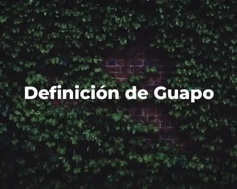 Definición de Guapo