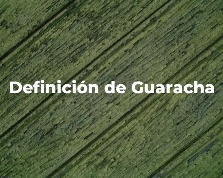 Definición de Guaracha