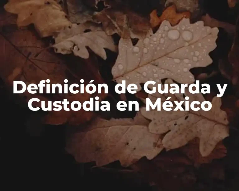 Definición de Guarda y Custodia en México