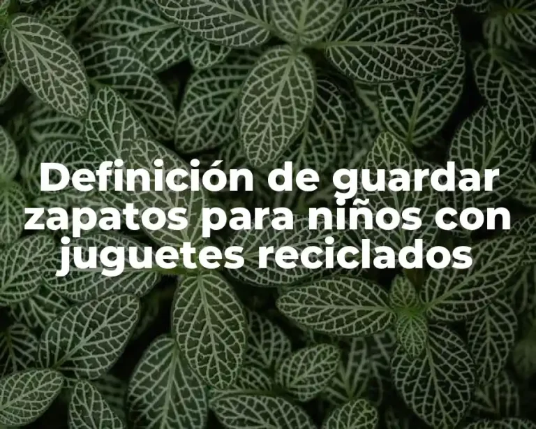 Definición de guardar zapatos para niños con juguetes reciclados