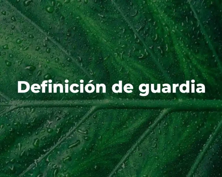 Definición de guardia