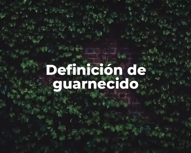 Definición de guarnecido