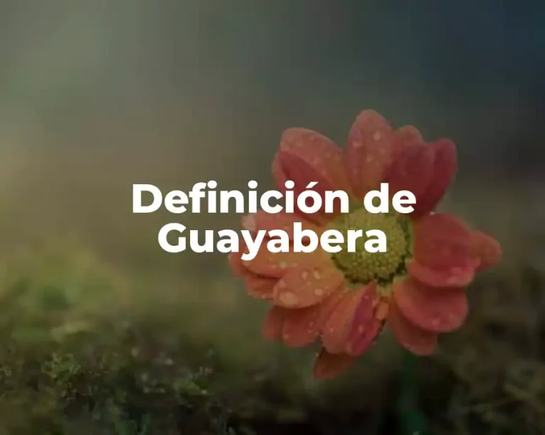 Definición de Guayabera