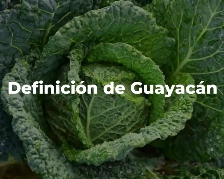 Definición de Guayacán