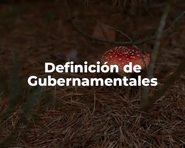 Definición de Gubernamentales