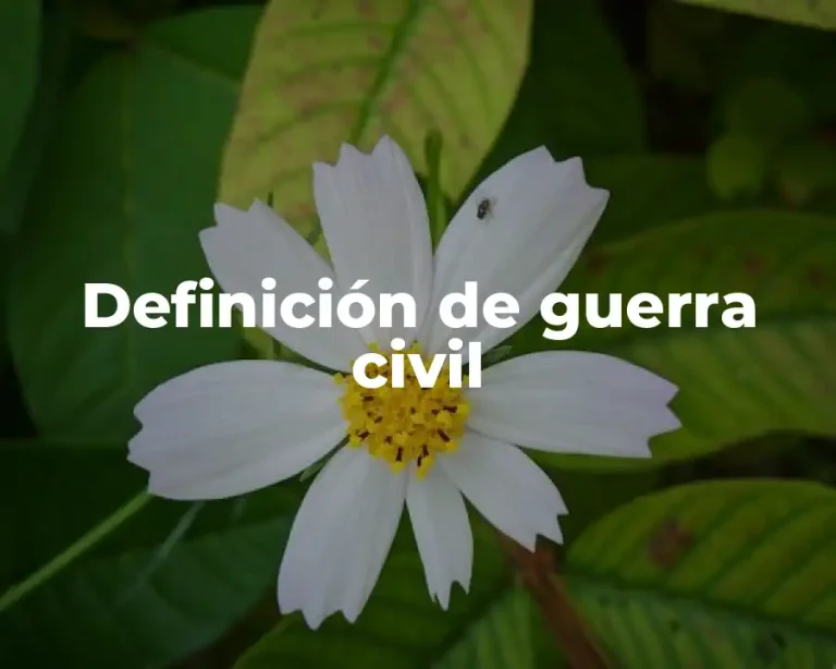 Definición de guerra civil