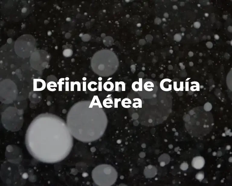 Definición de Guía Aérea