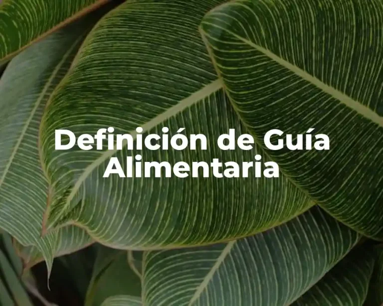 Definición de Guía Alimentaria
