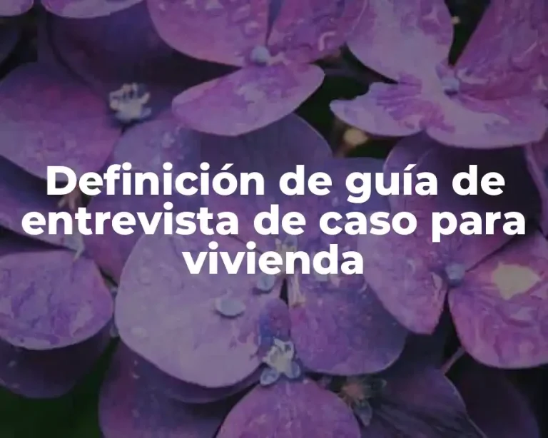 Definición de guía de entrevista de caso para vivienda