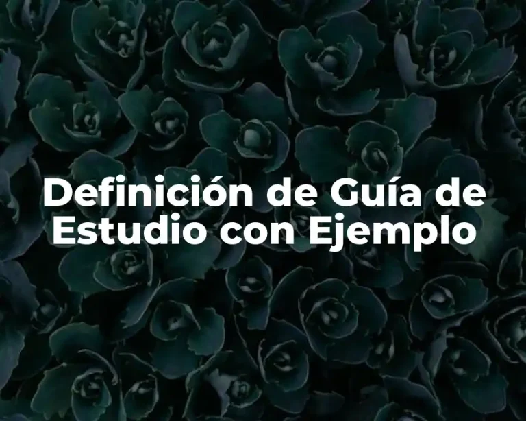 Definición de Guía de Estudio con Ejemplo