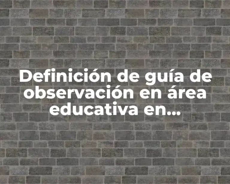 Definición de guía de observación en área educativa en secundaria
