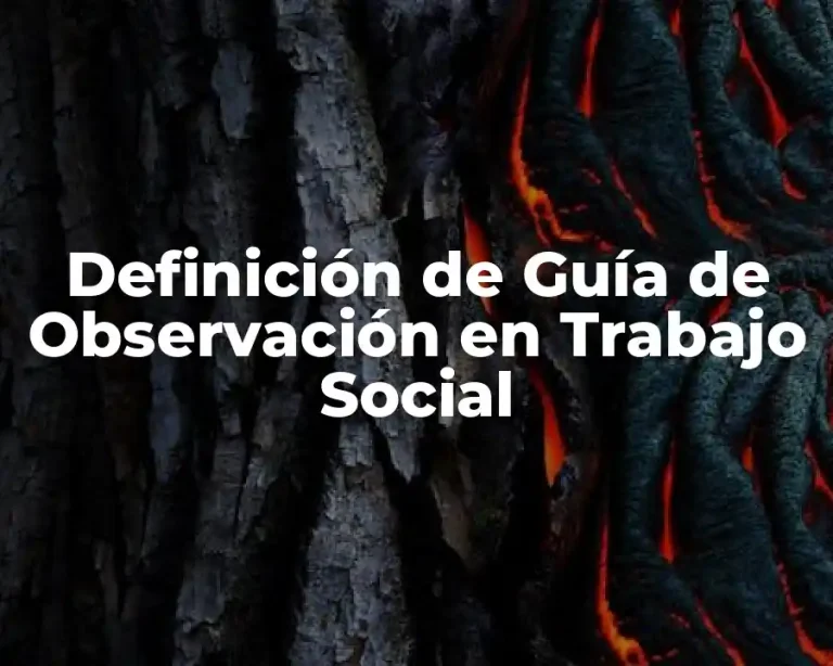 Definición de Guía de Observación en Trabajo Social