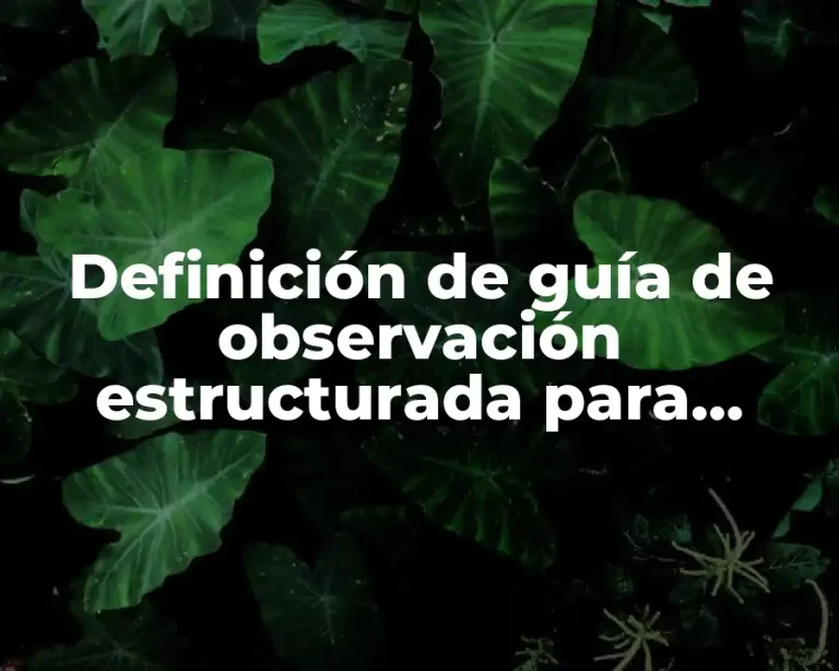 Definición de guía de observación estructurada para calificar un producto
