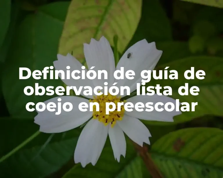 Definición de guía de observación lista de coejo en preescolar