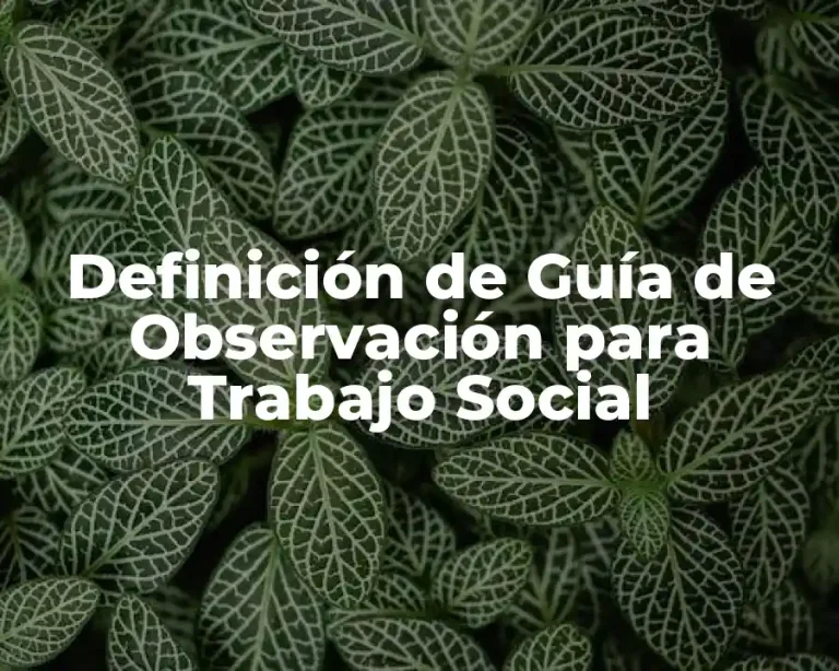 Definición de Guía de Observación para Trabajo Social