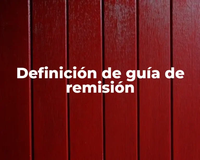 Definición de guía de remisión