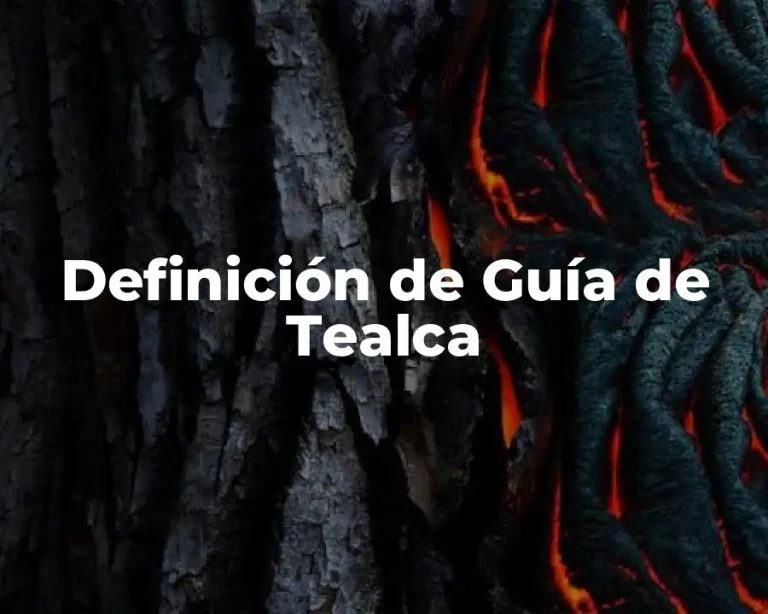 Definición de Guía de Tealca