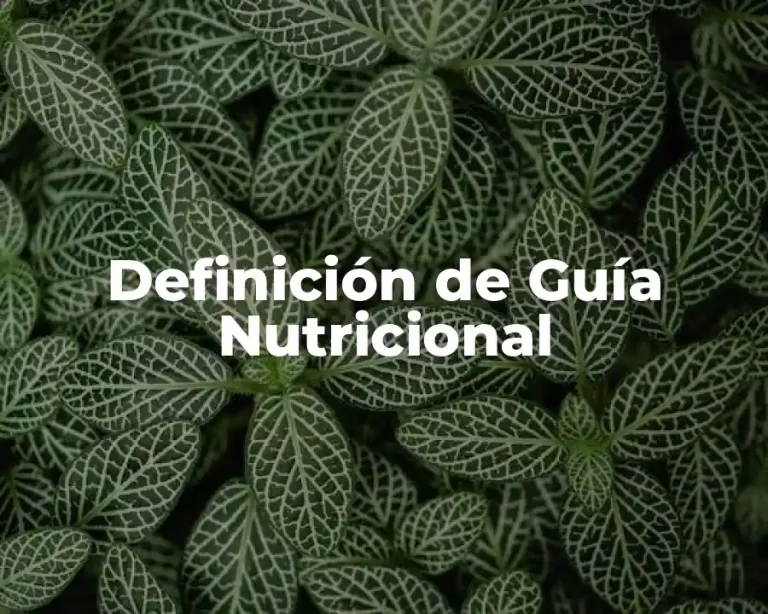 Definición de Guía Nutricional