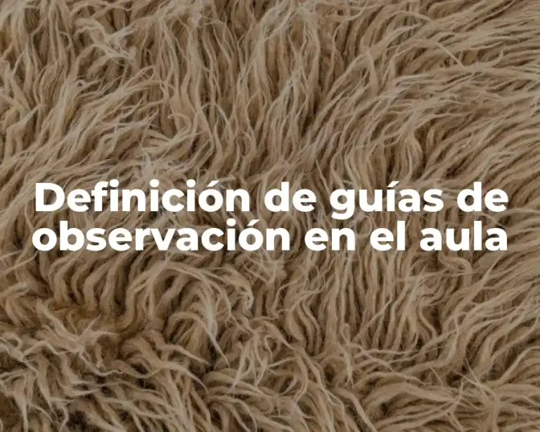 Definición de guías de observación en el aula