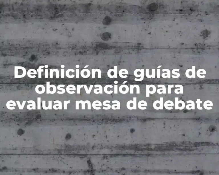 Definición de guías de observación para evaluar mesa de debate
