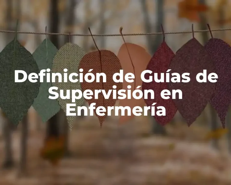 Definición de Guías de Supervisión en Enfermería