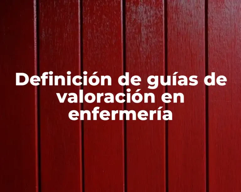 Definición de guías de valoración en enfermería