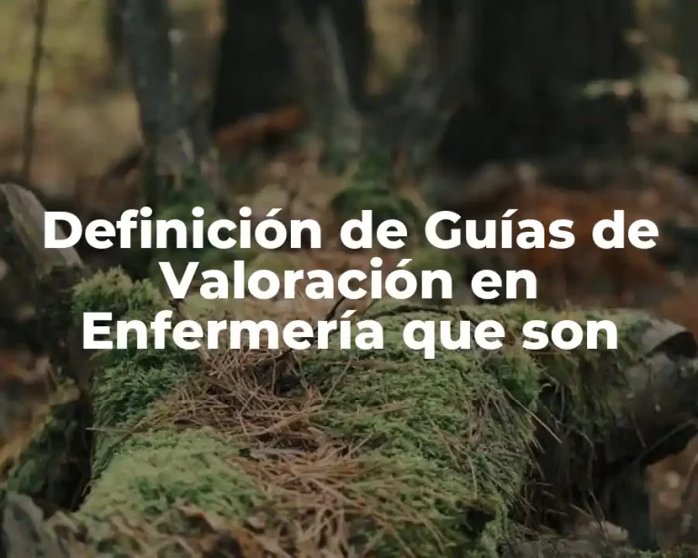 Definición de Guías de Valoración en Enfermería que son