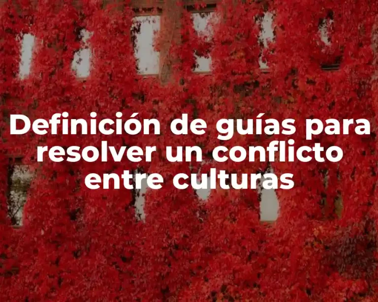 Definición de guías para resolver un conflicto entre culturas