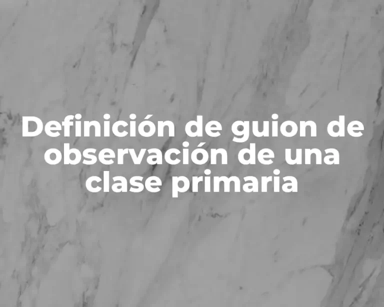 Definición de guion de observación de una clase primaria