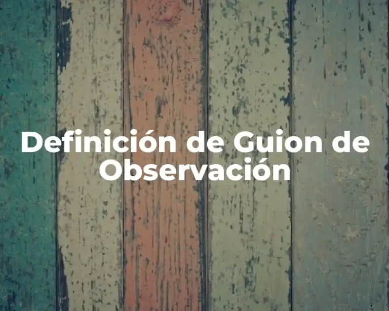 Definición de Guion de Observación