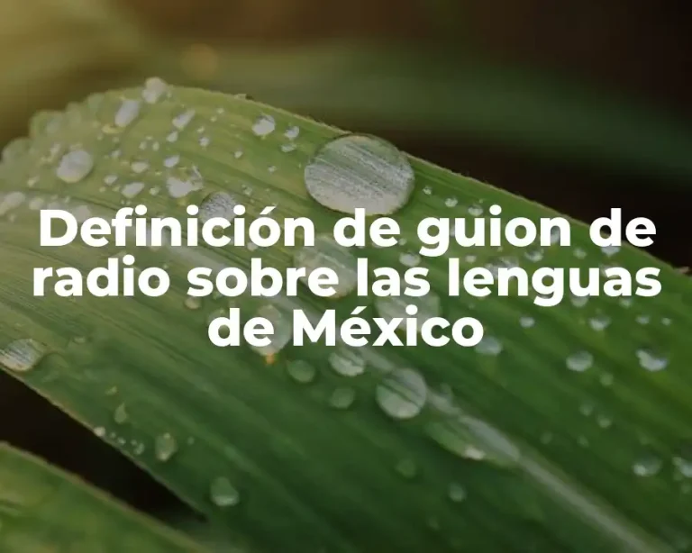 Definición de guion de radio sobre las lenguas de México