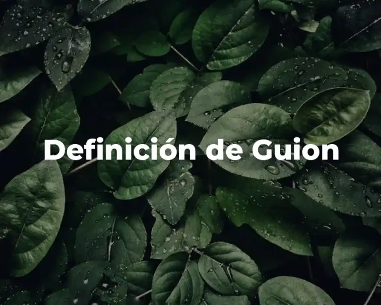 Definición de Guion