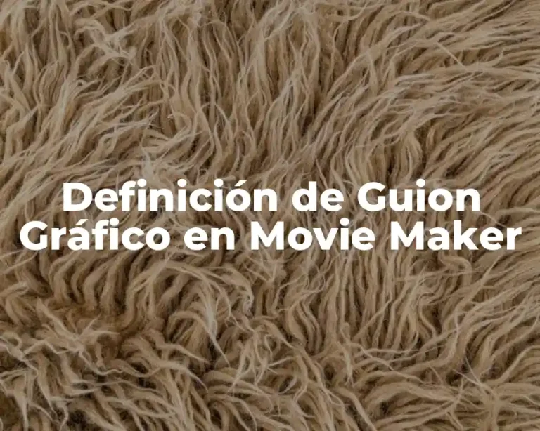Definición de Guion Gráfico en Movie Maker
