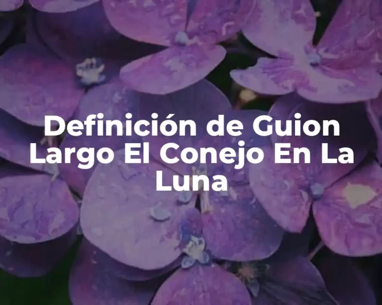 Definición de Guion Largo El Conejo En La Luna
