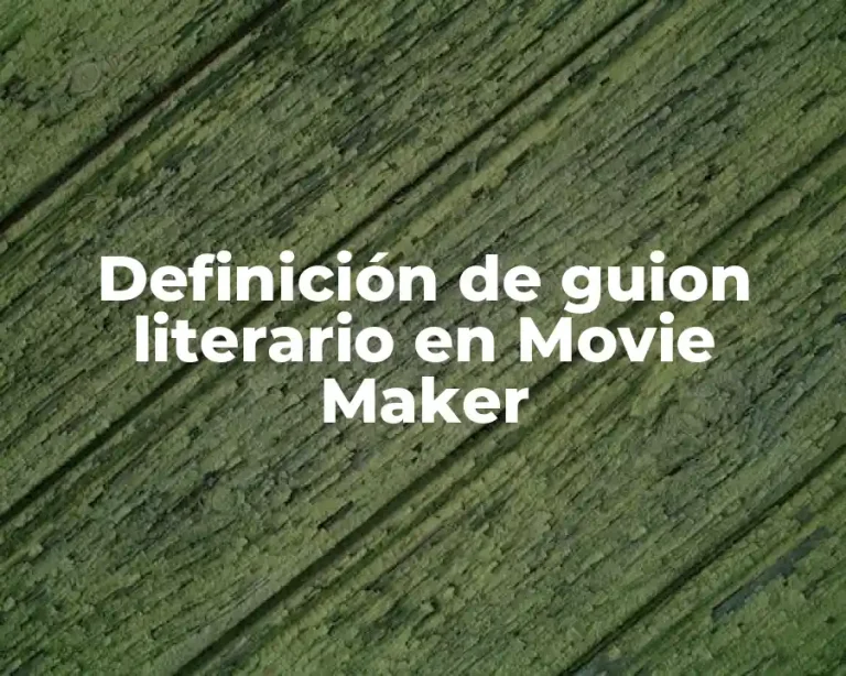 Definición de guion literario en Movie Maker