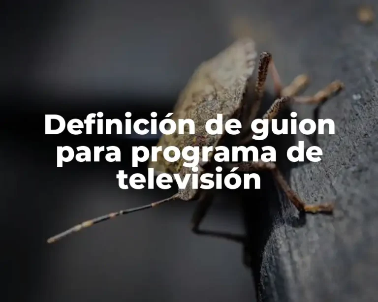 Definición de guion para programa de televisión