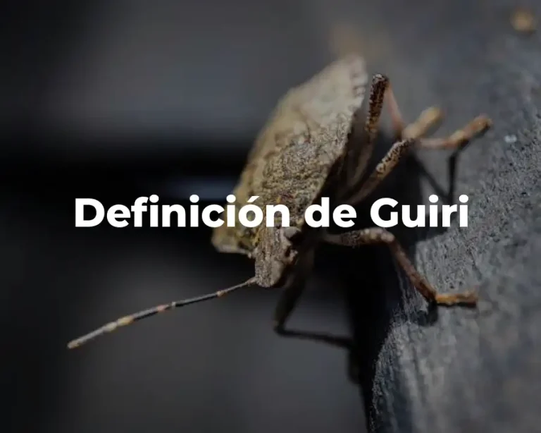 Definición de Guiri