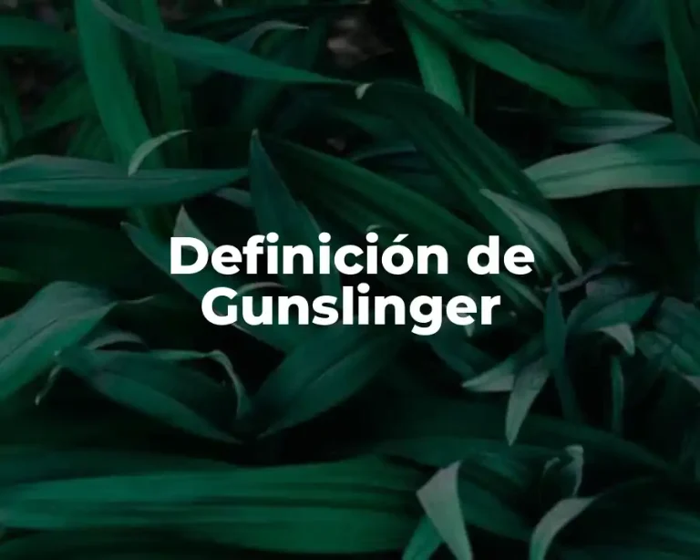 Definición de Gunslinger