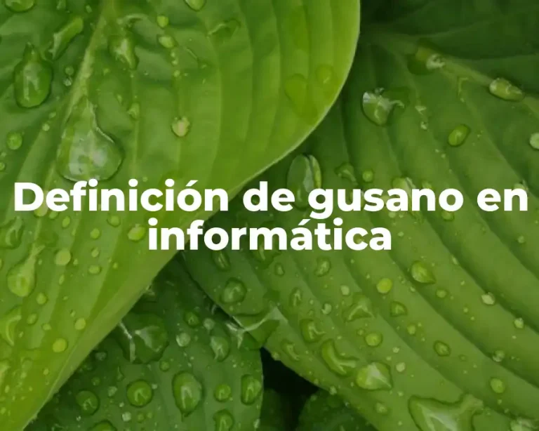 Definición de gusano en informática