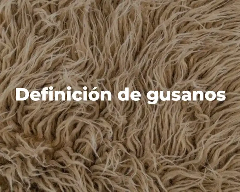 Definición de gusanos