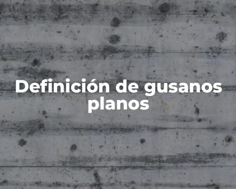 Definición de gusanos planos