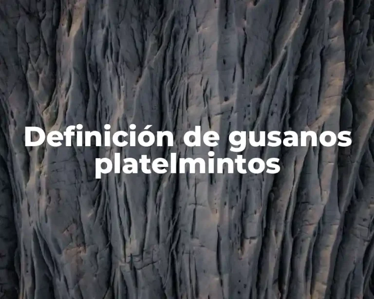 Definición de gusanos platelmintos