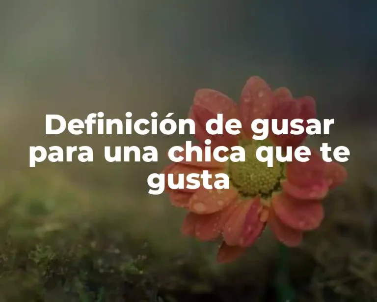 Definición de gusar para una chica que te gusta