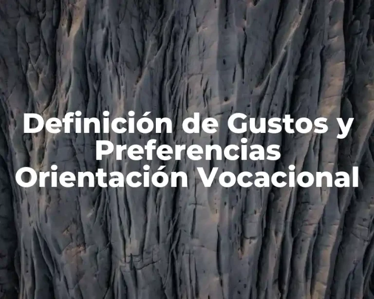 Definición de Gustos y Preferencias Orientación Vocacional