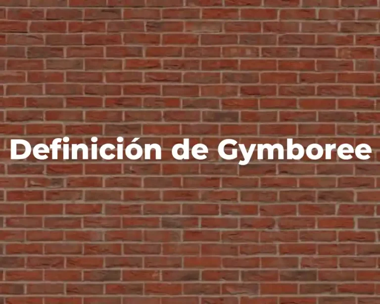 Definición de Gymboree