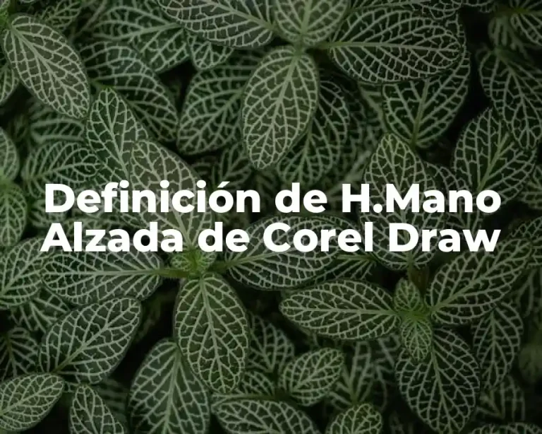 Definición de H.Mano Alzada de Corel Draw