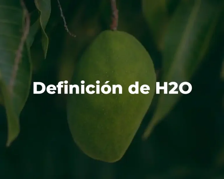 Definición de H2O