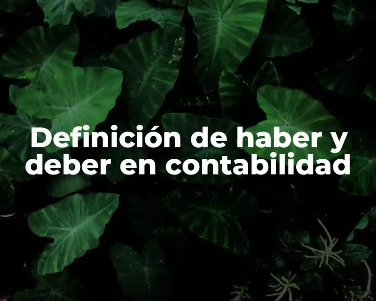 Definición de haber y deber en contabilidad