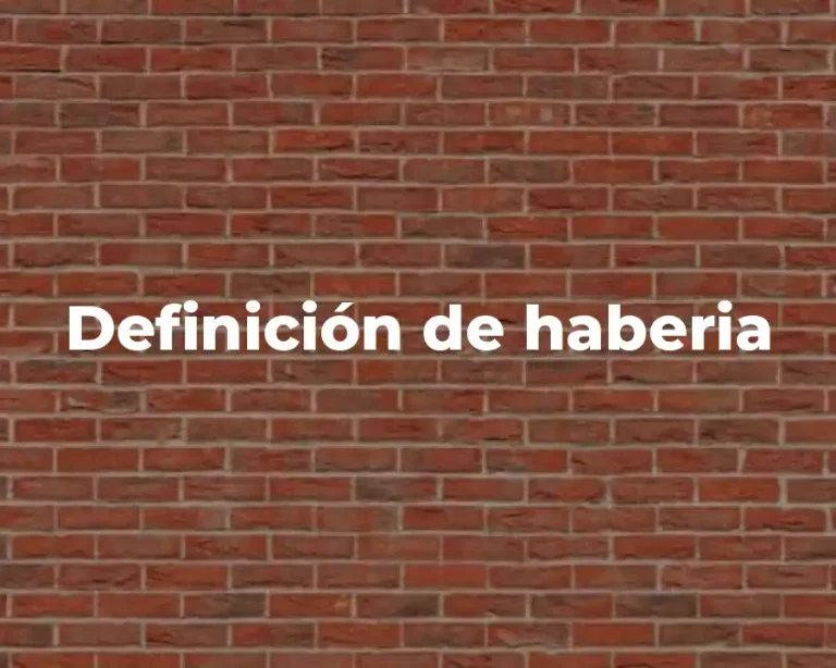 Definición de haberia